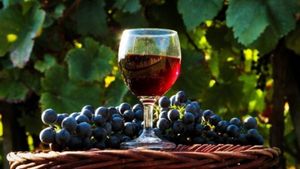 Рецепты легких вин из винограда для начинающих: петио, сухое и самое простое