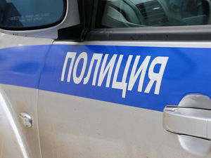 Подробности ограбления депутата Госдумы на МКАД: водитель среагировать не успел