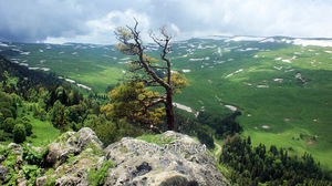 Скала Утюг на Лагонаки (Адыгея)– красивый природный уголок и прекрасное место для фотосессий