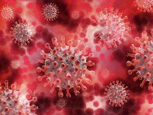 Больные коронавирусом стали умирать вдвое быстрее