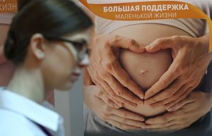 В Госдуме решили запретить иностранцам «заказывать» детей у суррогатных матерей из России