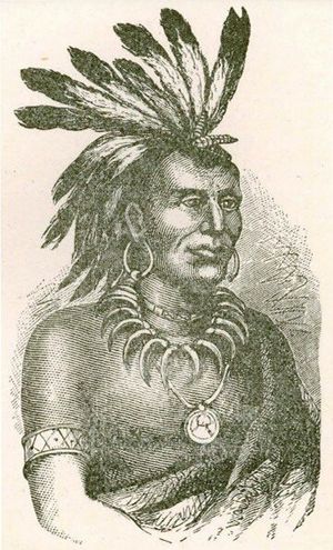 Битва при Вабаше (1791 г.). Величайшая победа индейцев над американской армией в истории
