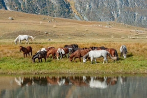 Чулышманская долина – возможно самое красивое место на Алтае! (2)