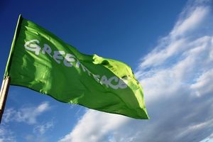В Greenpeace ответили на предложение депутата Госдумы признать их нежелательной организацией