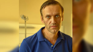Расследование отравления Навального — сценарий голливудского фильма категории Б