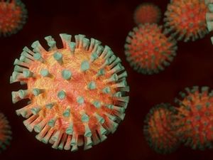 Тайна больных близнецов показала коварство коронавируса