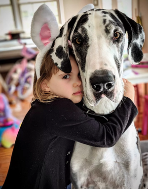 Собаки и дети - лучше друзья на планете!