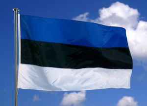 Нужна ли Эстония в составе России?