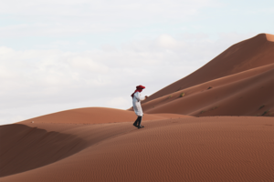 Пустыня Сахара. Как глубоки ее пески и что находится под ними?