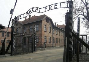 Освенцимский процесс: щадящее немецкое правосудие
