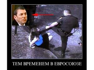 Хук справа: Россия передала ОБСЕ материалы о насилии полиции в отношении протестующих в Европе