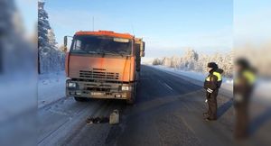 В Брянской области сотрудники ГИБДД проверят водителей грузовиков