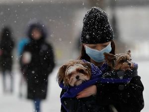 Новый штамм коронавируса поверг европейцев в ужас: вакцины не помогают