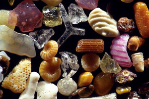 Необычные фотографии обычного песка, сделанные под микроскопом