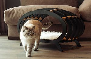Маска для сна с будильником и квартира для любителей кошек: 4 изобретения японцев