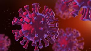 США классифицировали коронавирус как «биооружие»
