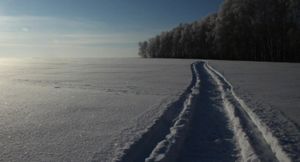 Как быстро и без проблем выехать из колеи зимой