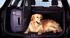 Анонсированы основные правила перевозки животных в авто