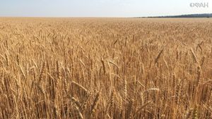 Успех российского сельского хозяйства привел в ярость фермеров из Франции
