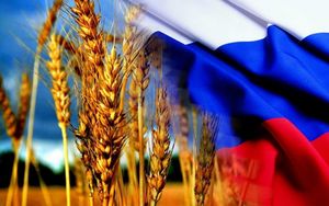 В Германии восхитились прогрессом РФ в сфере сельского хозяйства