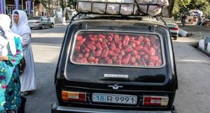 На каких машинах ездят в Узбекистане?