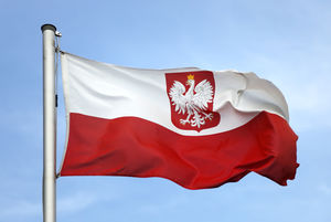 Чем для Польши обернутся провокации против «Северного потока-2»
