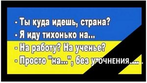 Ошибка «Зе-режима»: очередной НАТО-провал Украины