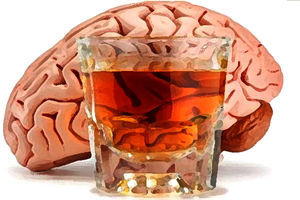 Разоблачаем мифы: алкоголь не убивает клетки мозга! Каковы же вред алкоголя и его польза?