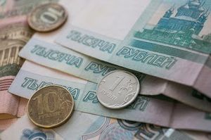 Депутат Госдумы заявила, что россияне берут кредиты из-за нехватки денег на еду