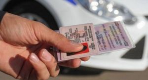 В Москве в 2,5 раза выросло число впервые выданных водительских прав