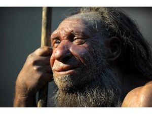 Неандертальцы ухаживали за своими зубами