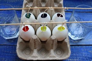 9 поводов не выбрасывать яичную скорлупу. Вы начнете ее активно применять в хозяйстве!