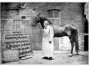 «Умный конь Ганс», интеллект которого в прошлом веке приравняли к человеческому