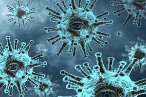 Медики впервые выявили в Карелии индийский штамм коронавируса