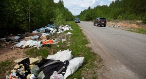 Выкинул мусор из машины – заплати штраф 200 000 рублей