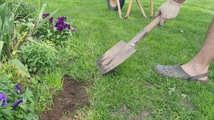 Сделали ограждение газона от клумб как в Английских садах. Нужна только лопата и час времени