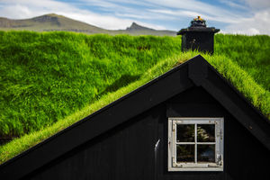 Зеленые крыши и их виды