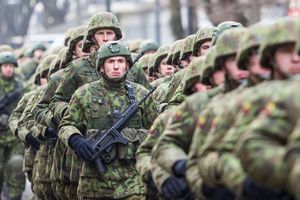 Военным Литвы при охране границы с Белоруссией разрешили применять оружие