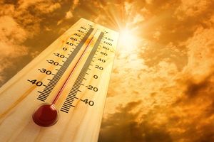 В нескольких регионах России прогнозируют аномальную жару