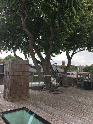 Терраса на крыше дома с деревом посередине