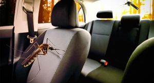 В Китае придумали «умный» отпугиватель комаров для машин. Он умеет определять их пол