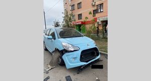В Ростове-на-Дону собаки погрызли автомобиль, пытаясь достать кошку