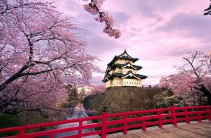 11 мифов о Японии, которые оказались правдой