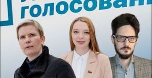 В стане либерастов новая грызня: навальнисты набросились на Литвинович из-за УГ
