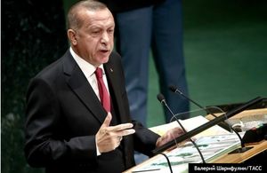 В Госдуме назвали заигрыванием с Украиной заявление Эрдогана об «аннексии Крыма»