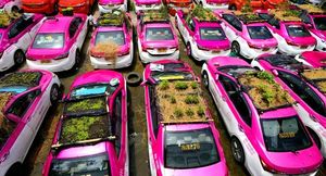 Новый бизнес таксистов в Таиланде — огород на крыше авто