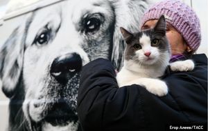 В Госдуме предложили ввести лимит на домашних животных в соответствии с размером жилья
