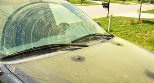 8 типов грязи на автомобиле и как их устранять?