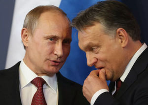 В Киеве уверены, что Германия и Венгрия откажутся воевать с Россией 