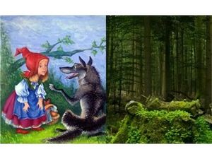 Загадки Шварцваальдского леса с правдой о бедолаге-волке и «Красной шапке»